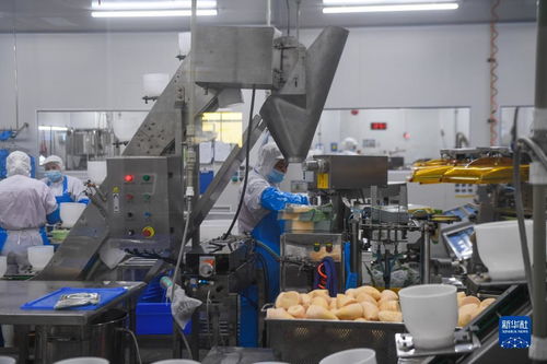 浙江湖州 老字号食品企业产销两旺 全力保障春节市场