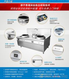 价格优惠 商用电磁双头小炒炉 销售浙江一带 大功率高效率